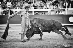 Juan Leal ©️philippelatour