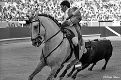 Rejon ©philippelatour