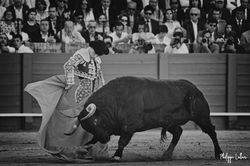 Pablo Aguado ©philippelatour