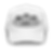White trucker hat with black P$D logo
