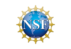 NSF.png