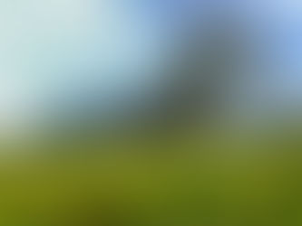 TST nega seguimento a recurso, e indenização prevista em ACT por covid/morte de empregado é mantida