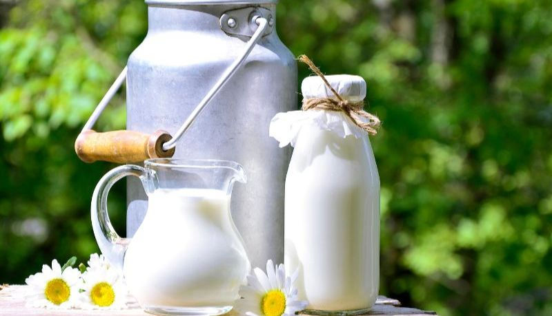 uống sữa tươi vào buổi sáng giúp khởi đầu ngày mới đầy năng lượng
