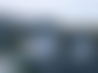 Cuyahoga County Roof Leak Inspection