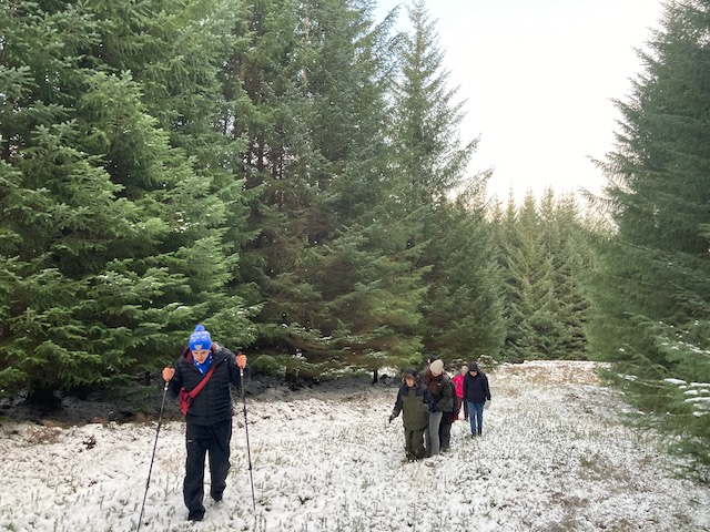 Group walking through snowy woodland
