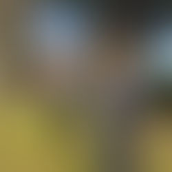 Author Elizabeth Kostova Visits Corbenic