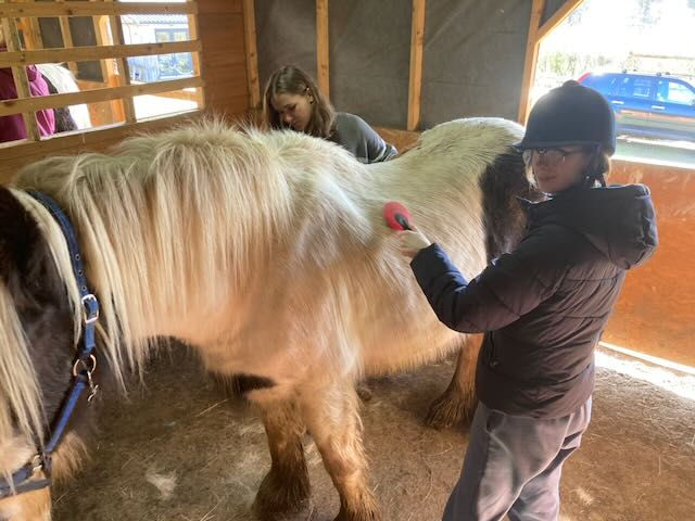 A Day Service With A Difference