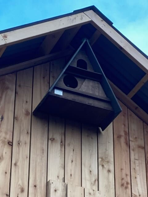 Bat Boxes and Owl Roosts
