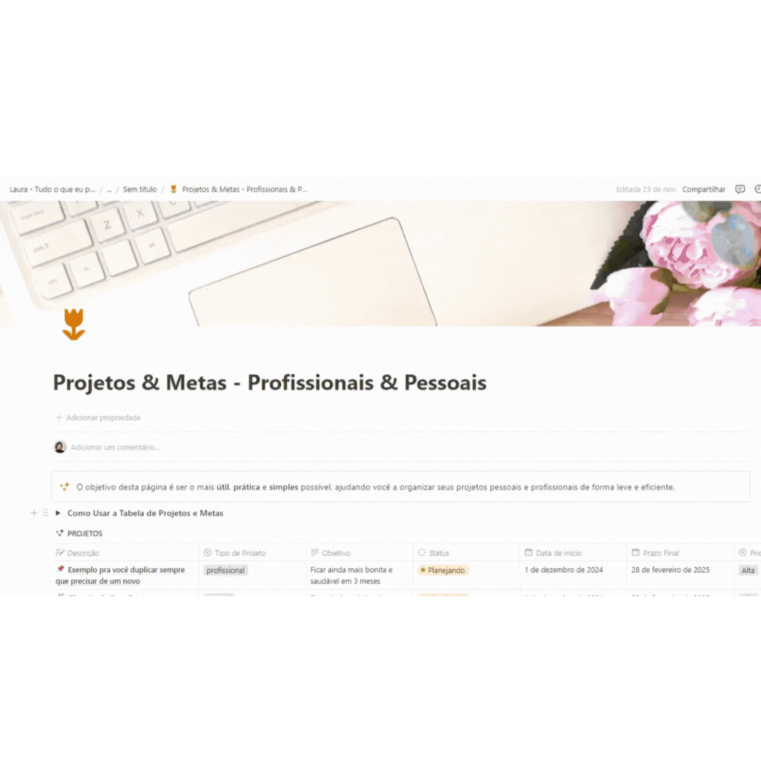 projetos e metas.gif