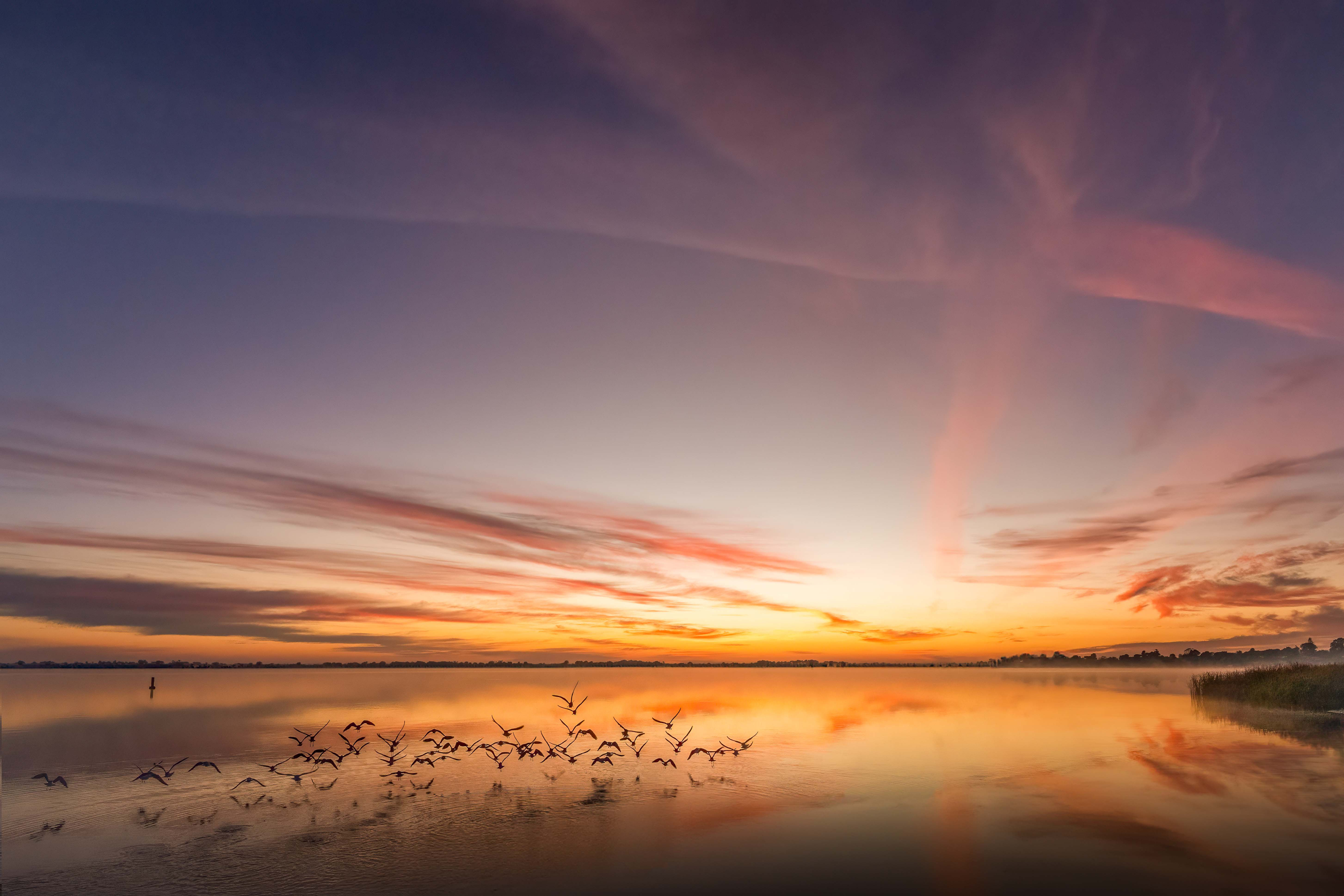 Lake Boga Sunrise I