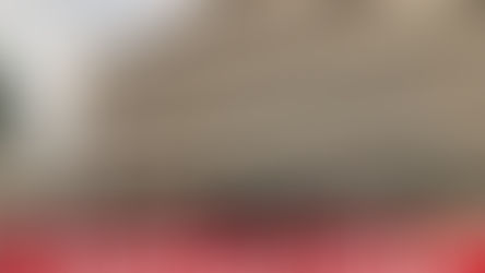 探訪【聖方濟各英文小學 簡介會】 劉校長 分享