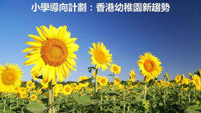 小學導向計劃：香港幼稚園的新趨勢 