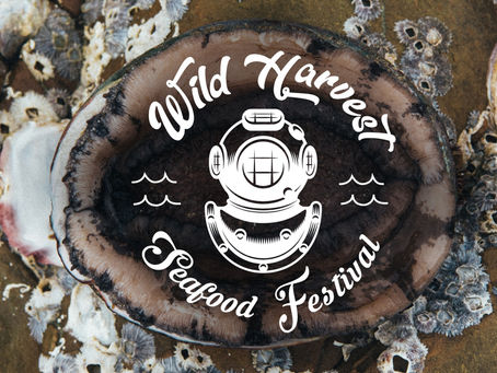 Wild Harvest Seafood Festival Returns To Mallacoota!