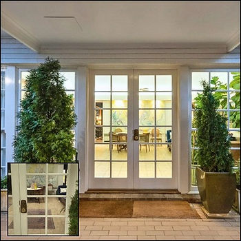 Sealing doors and windows for energy efficiency