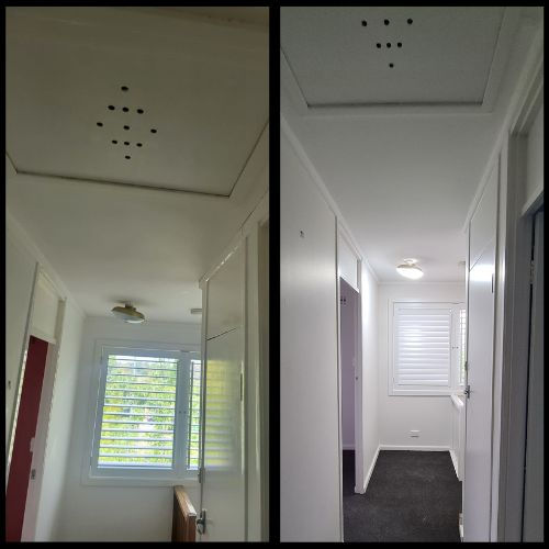 interior wall and ceiling paint