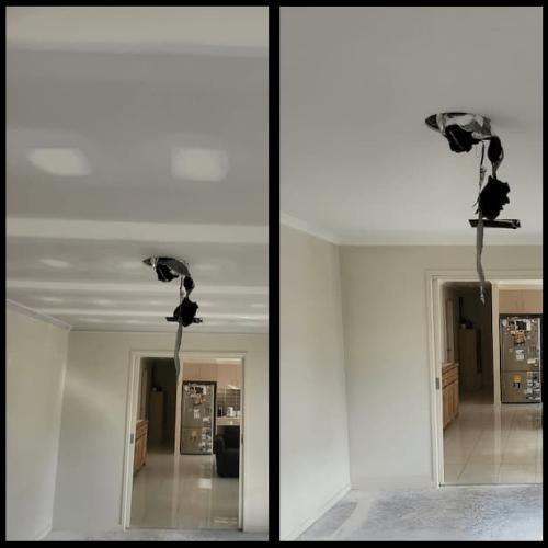 plasterer canberra