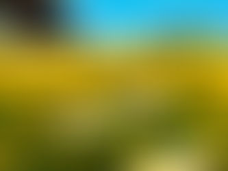 土日や連休中の査定・売却もおまかせください！帰省したタイミングに合わせてスピード査定可能♪榛原郡吉田町周辺地元密着のわくわく不動産にご相談ください。