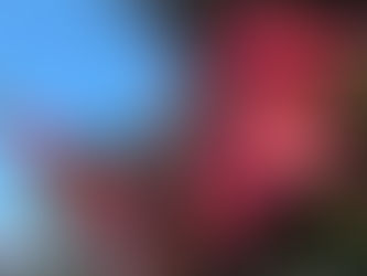 不動産売却には、大きく分けて仲介と買取の2つの方法があります!わくわく不動産に島田市の不動産売却・買取・査定の悩みをご相談ください!