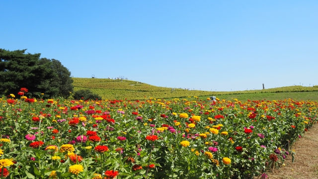 吉田町不動産売却
