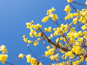 焼津市の土地・中古住宅・戸建・中古マンションの査定・売却・買取のことならわくわく不動産にご相談ください♪地元に強いスタッフがお客様お一人お一人にベストな方法をご提案いたします!