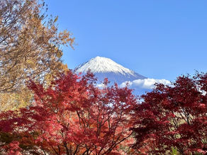 仲介?買取?相続?住み替え?空き家・空き地?お客様のご状況に合わせた安心丁寧な対応をさせていただきます。島田市周辺の不動産売却・不動産査定は地域密着型のわくわく不動産へ