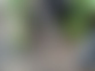 不動産売却には、大きく分けて仲介と買取の2つの方法があります！わくわく不動産に牧之原市の不動産買取・売却・査定の悩みをご相談ください！