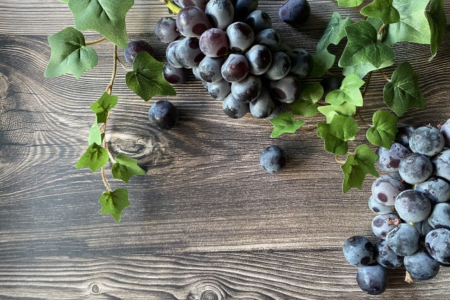 牧之原市の不動産