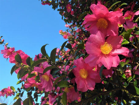 不動産売却には、大きく分けて仲介と買取の2つの方法があります！わくわく不動産に榛原郡吉田町の不動産売却・買取・査定の悩みをご相談ください！