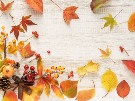 不動産売却はわくわく不動産にお任せください。藤枝市の土地・戸建・マンションの査定・売却・買取、相続・住み替え・空き地・空き家の悩みをご相談ください!