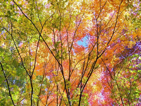 不動産売却には、大きく分けて仲介と買取の2つの方法があります！わくわく不動産に榛原郡吉田町の不動産売却・買取・査定の悩みをご相談ください！