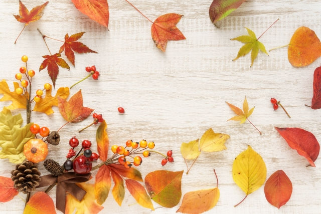 吉田町_不動産売却