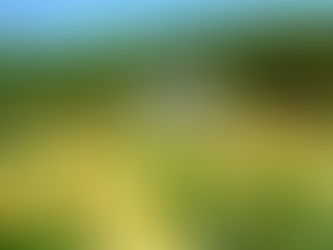 売却に強くて地域密着!島田市の不動産【土地・住宅】の査定・売却・買取でお悩みの方は実績豊富な不動産屋さん「わくわく不動産」にぜひご相談ください!