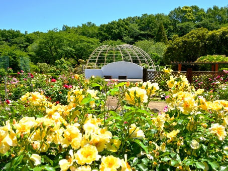 売却に強くて地域密着!島田市の不動産【土地・住宅】の査定・売却・買取でお悩みの方は実績豊富な不動産屋さん「わくわく不動産」にぜひご相談ください!