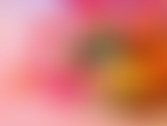 藤枝市の土地・戸建・中古住宅・中古マンションなどの不動産の相場を知りたい!査定をしてもらいたい!だけでも大丈夫です!不動産相続などの土地・家屋や住まいの相談・売却・買取はわくわく不動産にお任せください