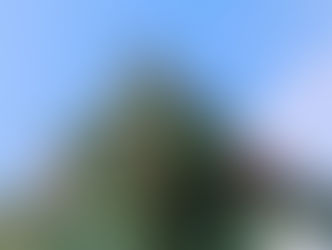 即日ご相談予約可能です!ご実家の売却、住み替え、相続問題、お客様それぞれのケースに沿ったご提案をさせていただきます!吉田町の不動産査定・売却・買取はわくわく不動産へ