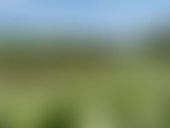 当日のご相談も可能です☆島田市・島田市金谷周辺の不動産売却・不動産査定・不動産買取は地域密着型のわくわく不動産にお任せください!