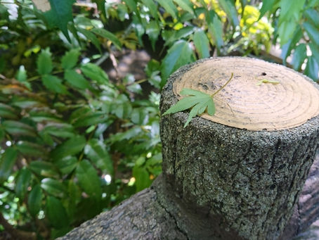 吉田町_不動産売却