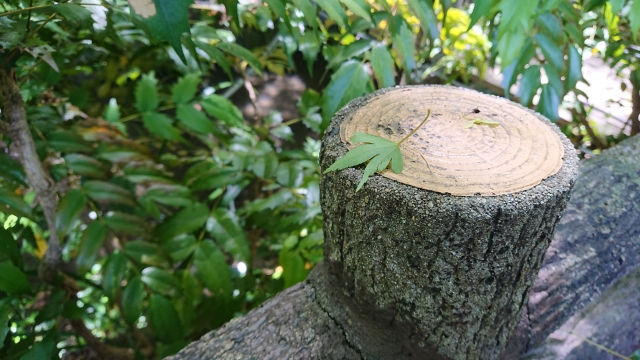 吉田町_不動産売却