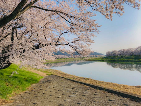 土日も営業しています。お持ちの不動産を「高く」「早く」売りたいと お思いの方は、焼津市にあるわくわく不動産にご相談ください!【焼津市不動産査定・焼津市不動産売却・焼津市不動産買取】