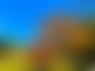 藤枝市の土地・戸建・中古住宅・中古マンションなどの不動産の相場を知りたい!査定をしてもらいたい!だけでも大丈夫です!不動産相続などの土地・家屋や住まいの相談・売却・買取はわくわく不動産にお任せください