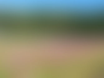 わくわく不動産にお任せください！藤枝市周辺の中古住宅・中古マンション、お問い合わせもたくさんいただいています！不動産売却・不動産査定は地域密着型不動産会社へお気軽にご相談ください！