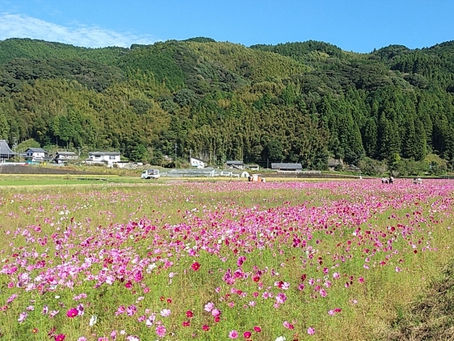 わくわく不動産にお任せください！藤枝市周辺の中古住宅・中古マンション、お問い合わせもたくさんいただいています！不動産売却・不動産査定は地域密着型不動産会社へお気軽にご相談ください！