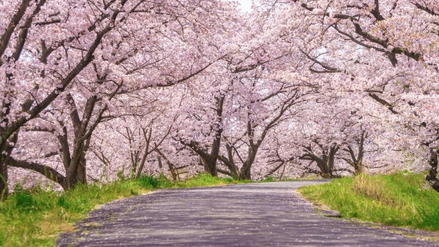 吉田町の不動産売却