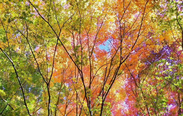 藤枝市の不動産売却