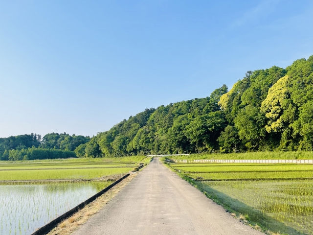 吉田町の不動産売却