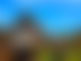 藤枝市のマンションの査定・買取・売却もおまかせください!藤枝市でお持ちの不動産でお悩みのかた、地元密着のわくわく不動産にご相談ください