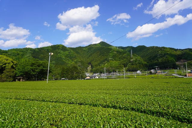 吉田町不動産売却
