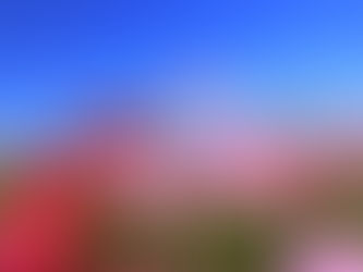 不動産売却には、大きく分けて仲介と買取の2つの方法があります！わくわく不動産に焼津市の不動産売却・買取・査定の悩みをご相談ください！