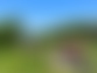 【必見】 島田市【島田市・金谷町】でお持ちの土地や戸建・マンションを「高く」「早く」売りたいと お思いの方は、わくわく不動産に、ぜひご相談ください!