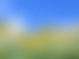 島田市の不動産売却・査定・買取は、わくわく不動産にご相談ください!長年の経験と知識をもとに、お客様のニーズに合わせたサービスをご提供いたします!まずはお気軽にご相談ください!